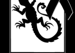 Imagen de lagartija con marco negro