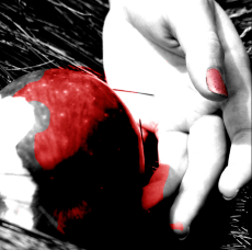 Todos los derechos reservados http://www.flickr.com/photos/baruballest/5422961616/in/set-72157625991478678/