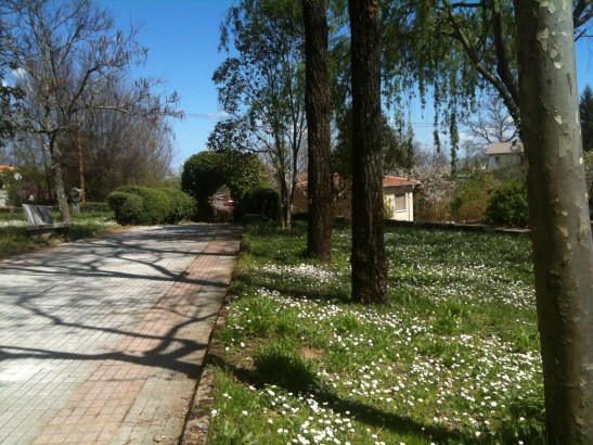 El Barrero, Sequeros